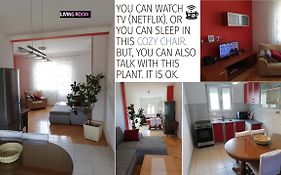 Spacious Family Apartment With Parking In The Shade And Barbecue House